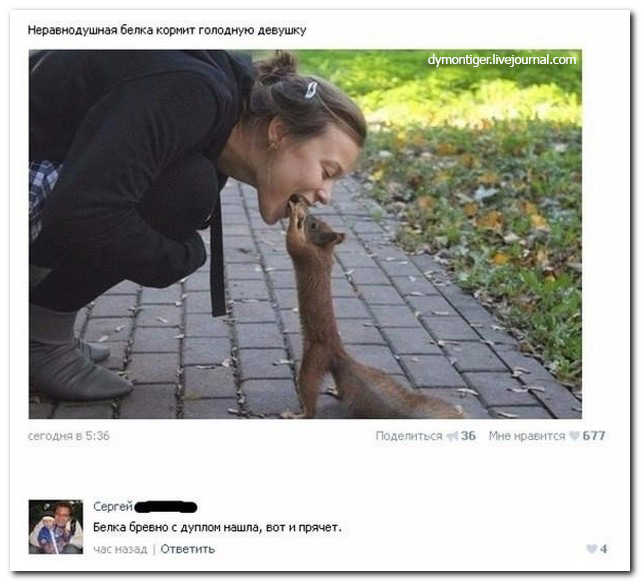 Смешные комментарии из социальных сетей