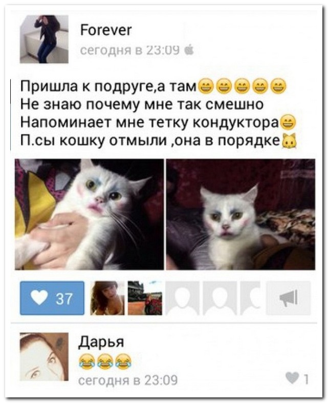 Смешные комментарии из социальных сетей