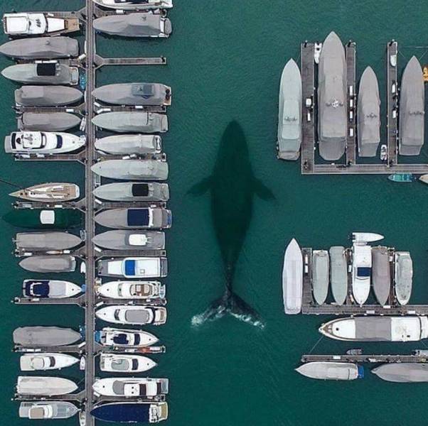 Красивые фото вместо тысячи слов
