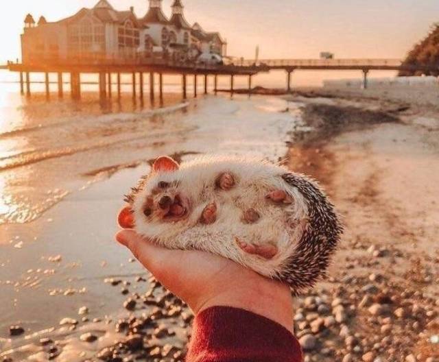 Красивые фото вместо тысячи слов