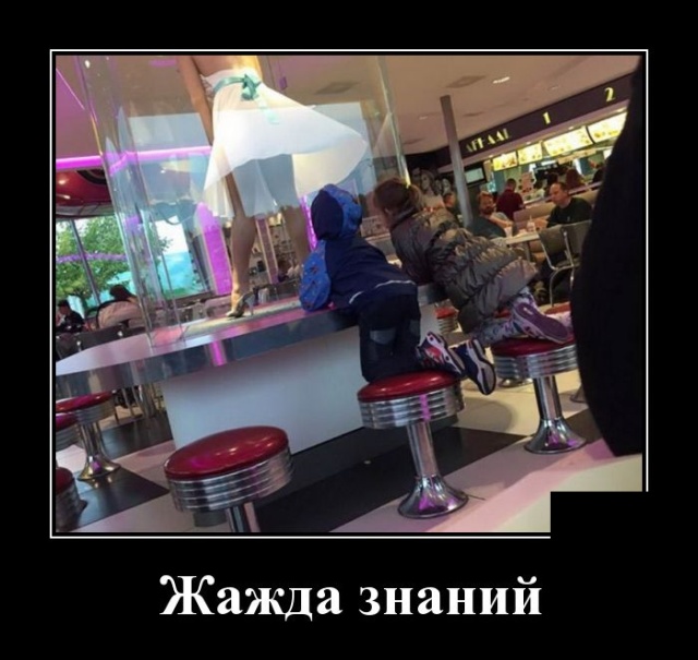Демотиваторы