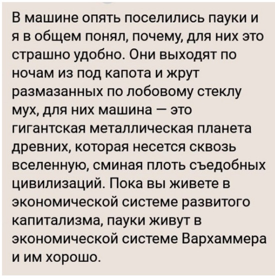 Мысли и высказывания из социальных сетей