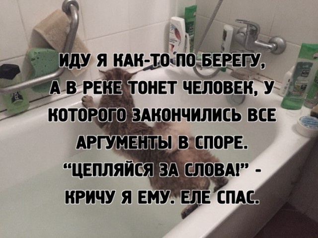 Мысли и высказывания из социальных сетей