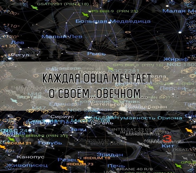 Мысли и высказывания из социальных сетей