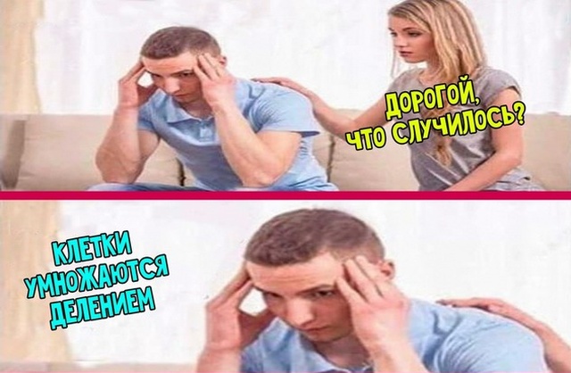 Мысли и высказывания из социальных сетей