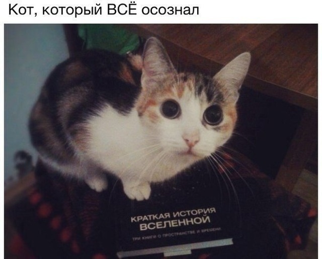 Мысли и высказывания из социальных сетей