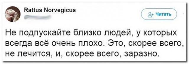 Высказывания и юмор из социальных сетей