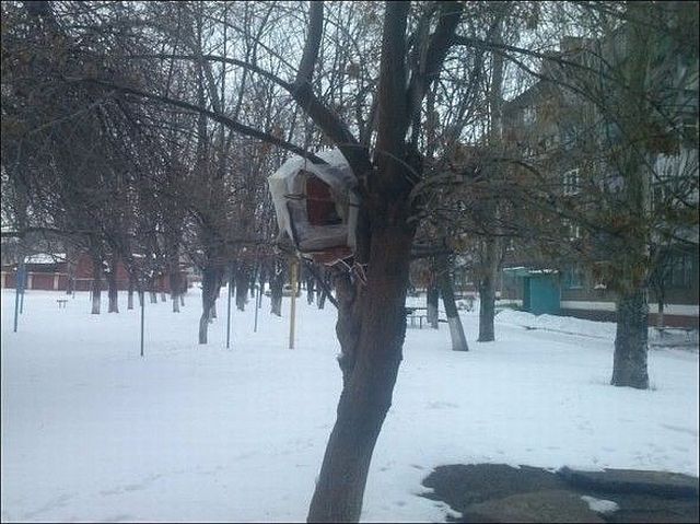 Подборка картинок