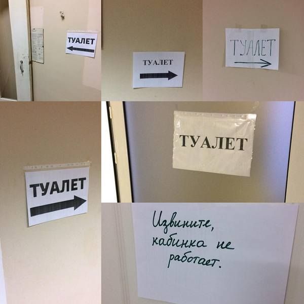 Прикольные картинки