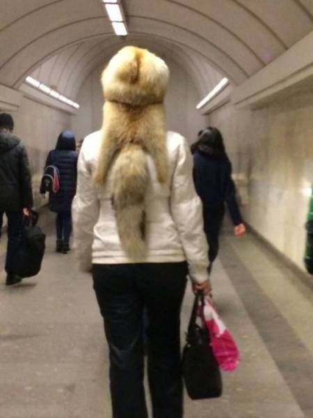 Прикольные картинки
