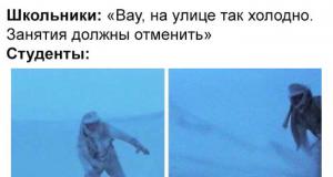 Прикольные картинки