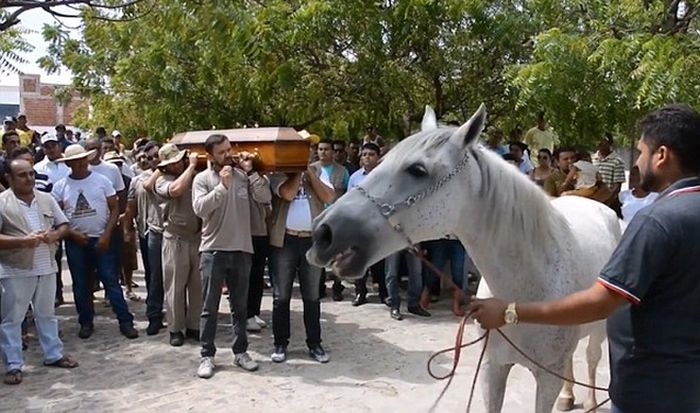 Душераздерающие фото: лошадь прощается со своим хозяином