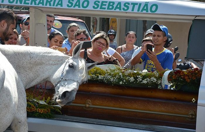 Душераздерающие фото: лошадь прощается со своим хозяином