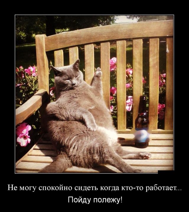 Демотиваторы