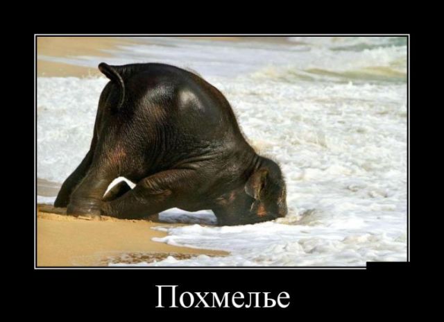 Демотиваторы
