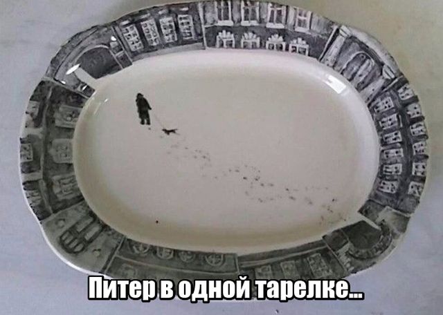 Прикольные картинки