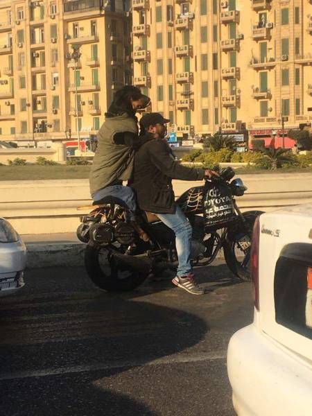 Прикольные картинки