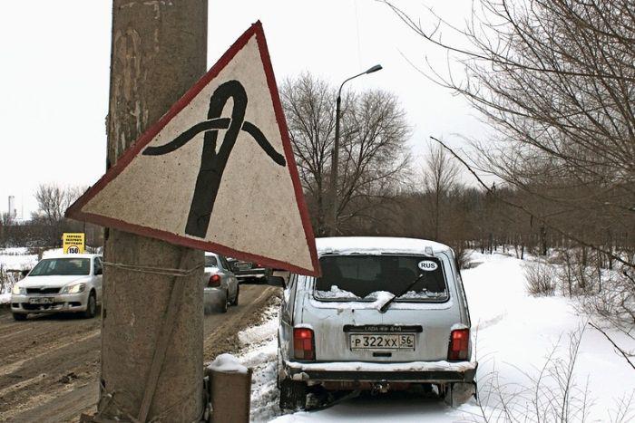 Прикольные картинки