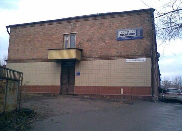 Прикольные картинки