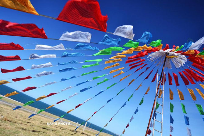 20 фотографий, на которых цвет — это главное