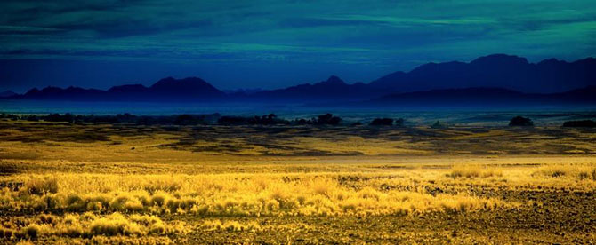 20 фотографий, на которых цвет — это главное