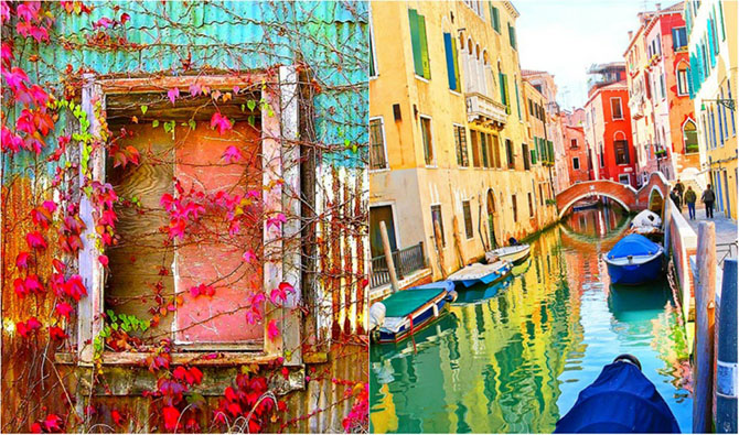 20 фотографий, на которых цвет — это главное