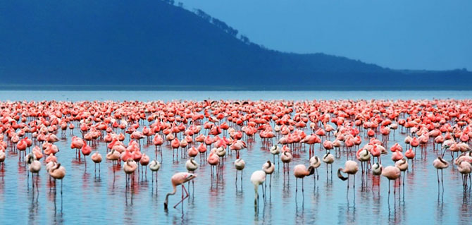 20 фотографий, на которых цвет — это главное