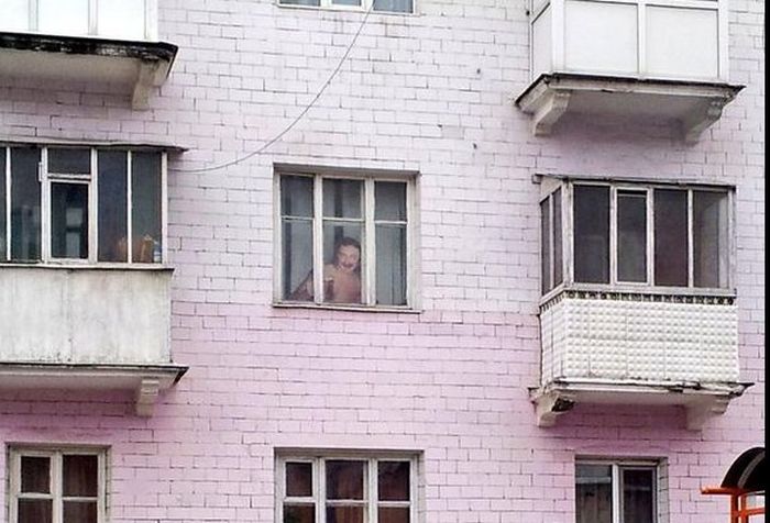 Порция картинок