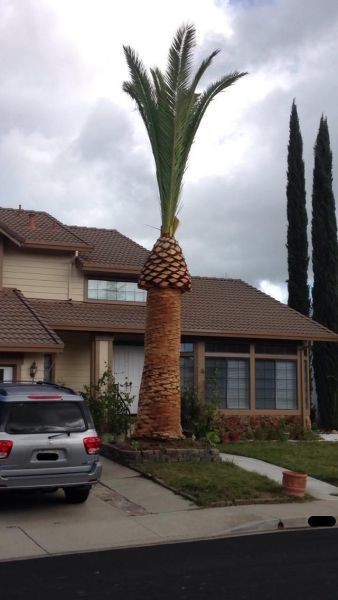 Порция картинок