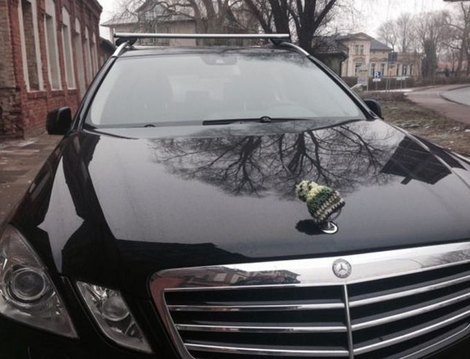 Порция картинок