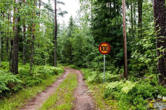 Порция картинок