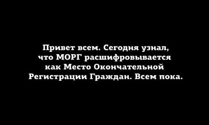 Порция картинок