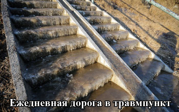 Порция картинок