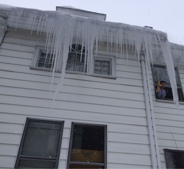 Порция картинок