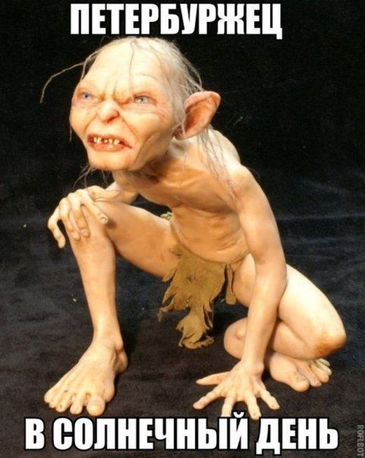 Порция картинок