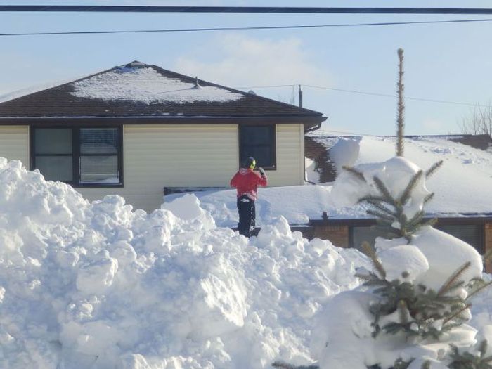 Порция картинок