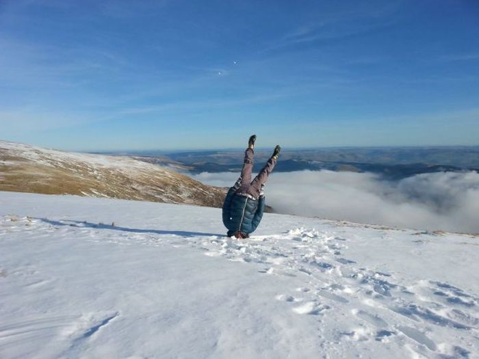 Порция картинок