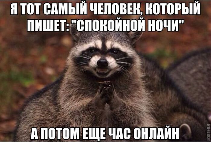 Порция картинок