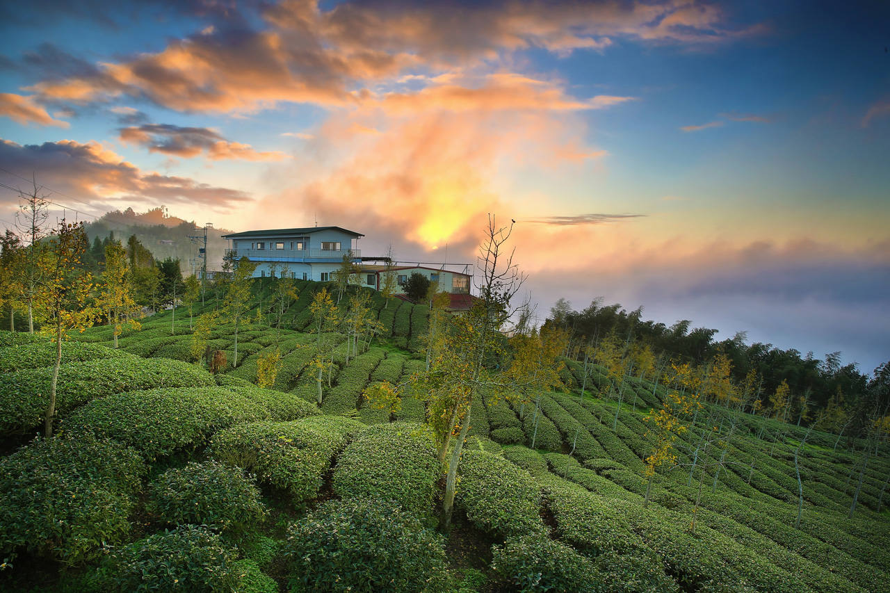 Красивые фотографии тумана