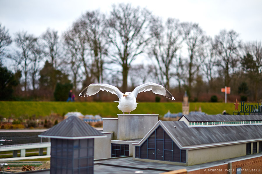 Madurodam – музей миниатюры в Гааге Madurodam – музей миниатюры в Гааге