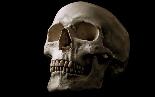 Самые неожиданные находки таможенников Самые неожиданные находки таможенников