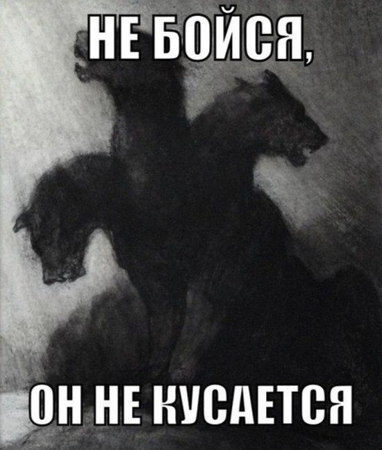 Порция картинок