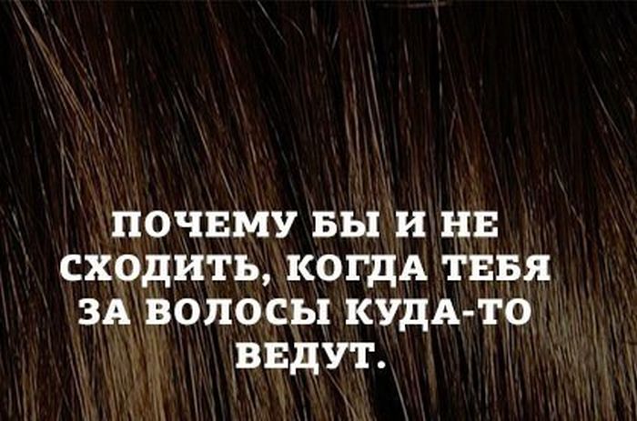 Порция картинок