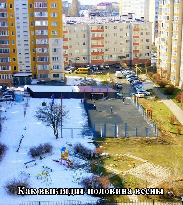 Порция картинок