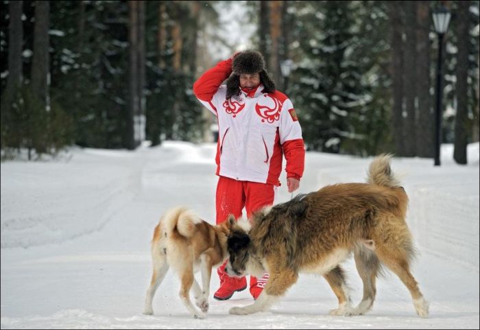 Собаки и их Путин (6 фото)