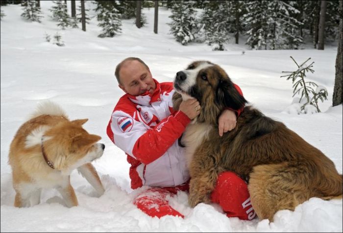 Собаки и их Путин (6 фото)