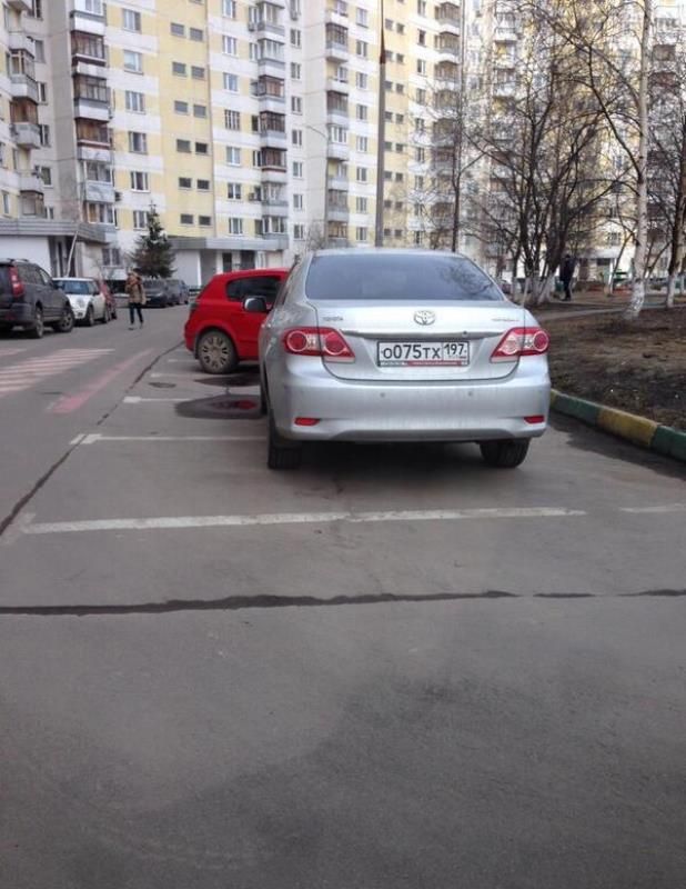 Прикольные картинки (75 фото)