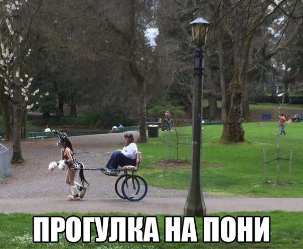 Прикольные картинки (75 фото)