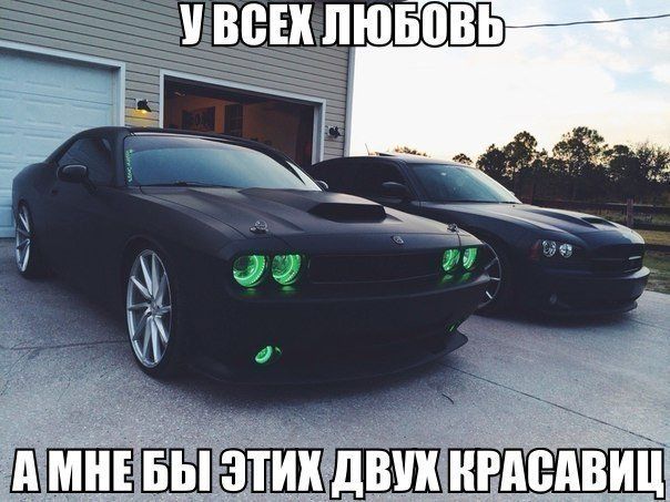 Прикольные картинки (75 фото)