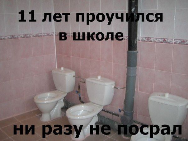 Прикольные картинки (75 фото)